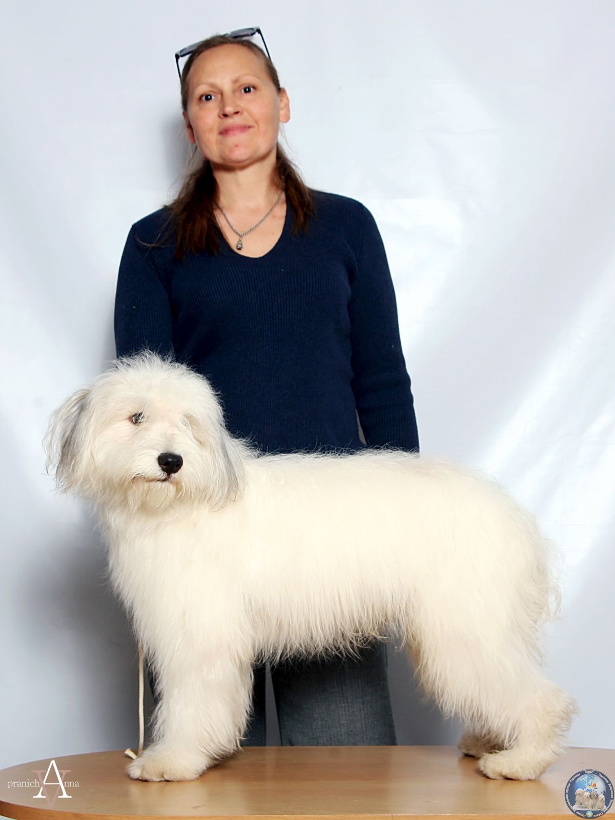 Од ис. Одис порода. Украинская порода собак Одис. Одис щенок. Одесская идеальная собака.